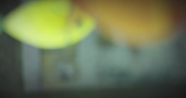 Evde çocukları olan mutlu bir ailenin resimlerini çizen çocuk eli.