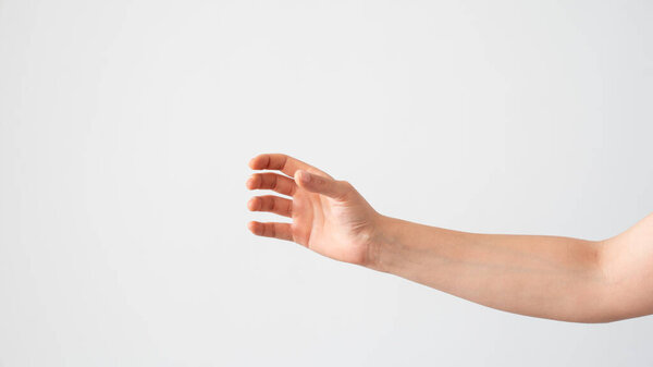 Blank hand holding something like a bottle or can isolated on gray background