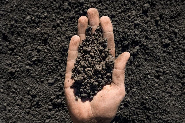 Farmer hand soil ground earth garden soil farm ground dirt. Handful of dirt hand holding soil earth. Organic earth day. Male hands full of fertile land. Planting. Business agriculture concept. Closeup