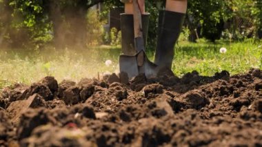 Farmer digging in garden spade soil shovel digging spade grass. Gardener digging soil preparation. Man shoveling dirt shovel in ground. Gardening. Tillage. Farming garden work in rubber boots farm