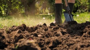Farmer digging in garden spade soil shovel digging spade grass. Gardener digging soil preparation. Man shoveling dirt shovel in ground. Gardening. Tillage. Farming garden work in rubber boots farm