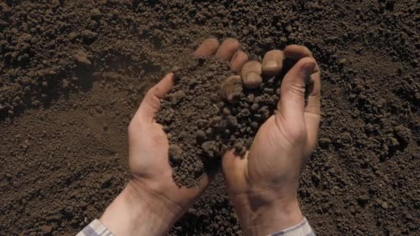 Fertile Ground Handful Dirt Hands Holding Soil Hand Field Agriculture — Stock Video