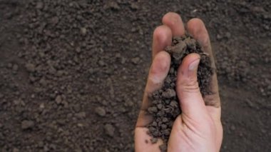 Verimli topraklar. Bir avuç dolusu toprak elli tarla işçisi toprak dolu organik toprak zeminli tarım çiftçisi. Bereketli toprak tarlası tarım konsepti. Çiftçilik. - Yakın çekim. Boşluğu kopyala