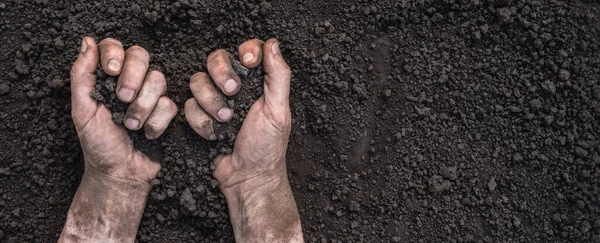 Farmer Hands Full Soil Earth Ground Fertile Soil Background Chernozem Zdjęcie Stockowe
