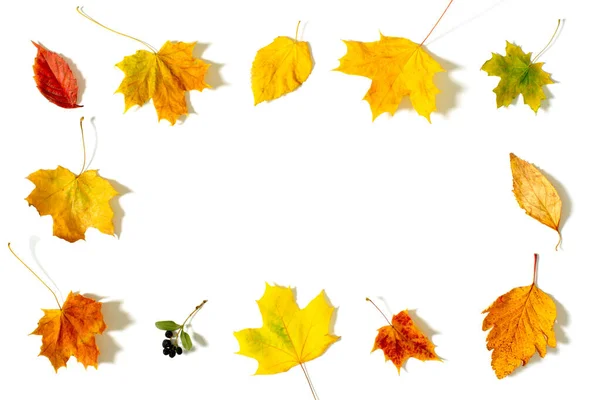 Flat Fall Leaves Invitation Design Leaves Template Autumn Greeting Card — Stock Photo, Image