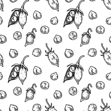 Hand drawn chickpeas seamless pattern. Vector illustration in sketch style