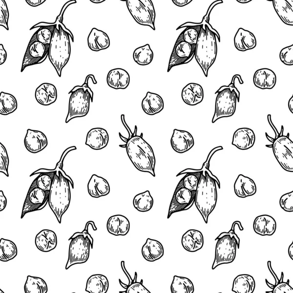 Hand Drawn Chickpeas Seamless Pattern Vector Illustration Sketch Style — Stockvector