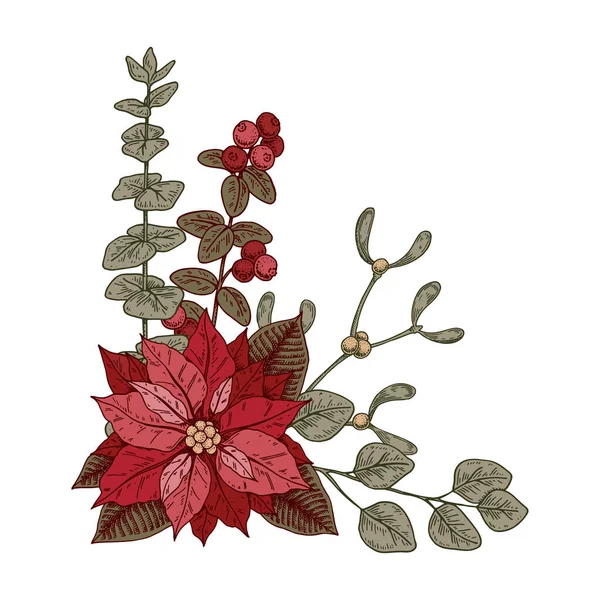 Kerst Botanie Compositie Met Poinsettia Bloem Maretak Vector Illustratie Schets — Stockvector