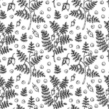 Hand drawn chickpeas seamless pattern. Vector illustration in sketch style