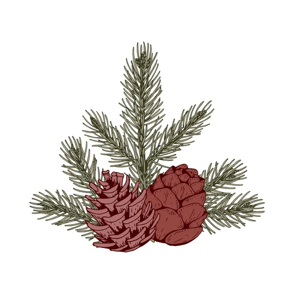크리스마스 식물은 소나무 가지와 솔방울으로 구성되어 배경에 스케치 스타일의 — 스톡 벡터