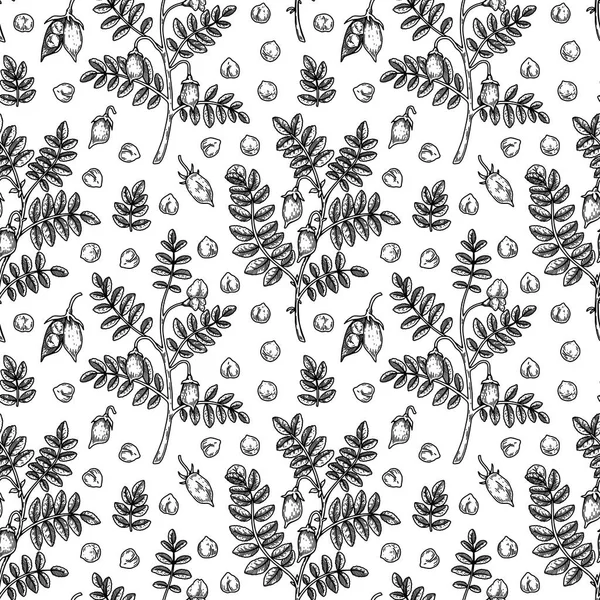Hand drawn chickpeas seamless pattern. Vector illustration in sketch style
