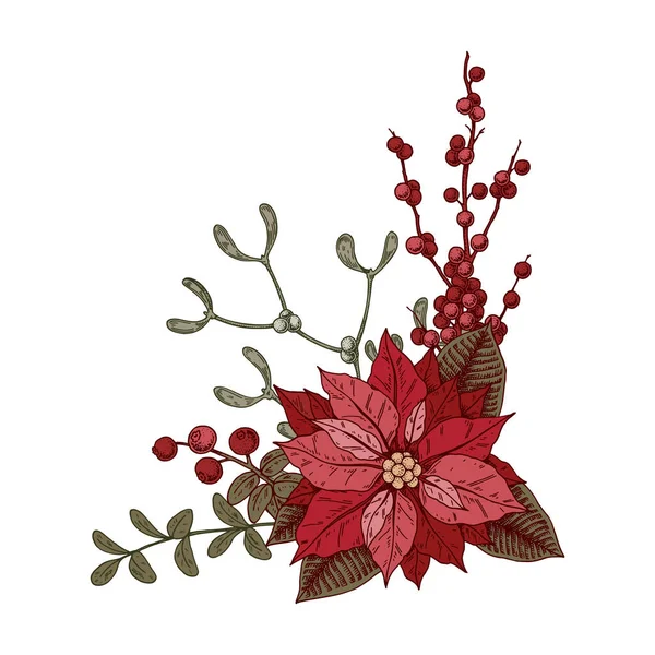 Composição Botânica Natal Com Flor Poinsettia Visco Ilustração Vetorial Estilo — Vetor de Stock