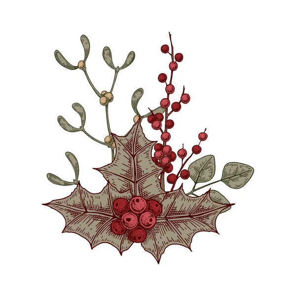 Composição Botânica Natal Com Folhas Azevinho Bagas Visco Ilustração Vetorial —  Vetores de Stock
