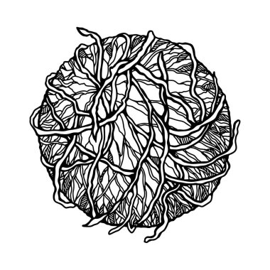 Beyaz arka planda el yapımı kabakulak virüsü. Çizim stilinde gerçekçi detaylı bilimsel vektör çizimi