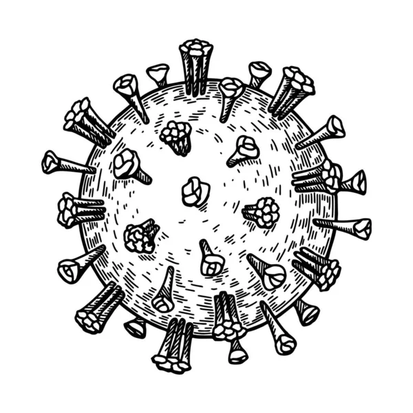 Hand Drawn Measles Virus Isolated White Background Realistic Detailed Scientifical — 스톡 벡터