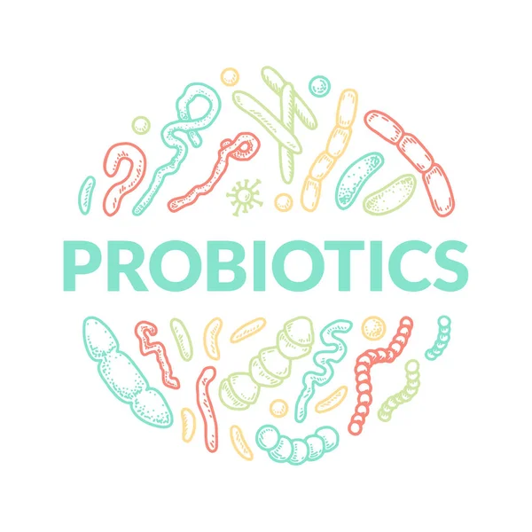 Probiotics Hand Drawn Logo Scientific Vector Illustration Sketch Style — Stock Vector