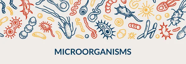 Microbiology Banner Collection Different Types Microorganisms Scientific Vector Illustration Sketch — Stockvektor