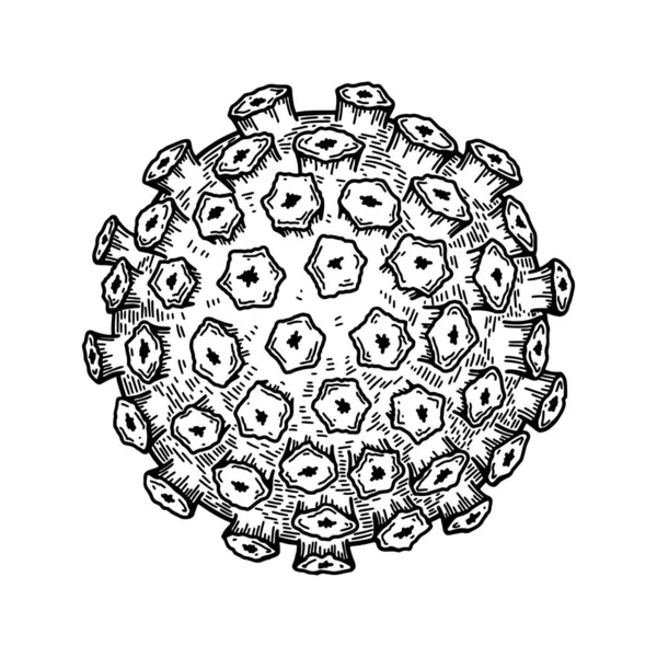 Papillomavirus Geïsoleerd Witte Achtergrond Met Hand Getekend Realistische Gedetailleerde Wetenschappelijke — Stockvector