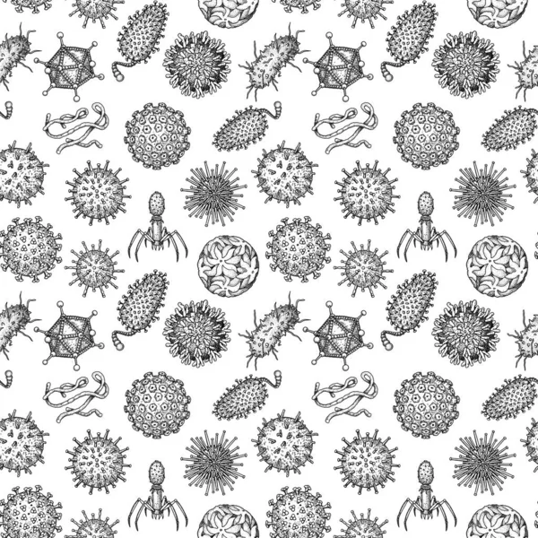 Viruses Seamless Patten Scientific Hand Drawn Vector Illustration Sketch Style — Stock vektor