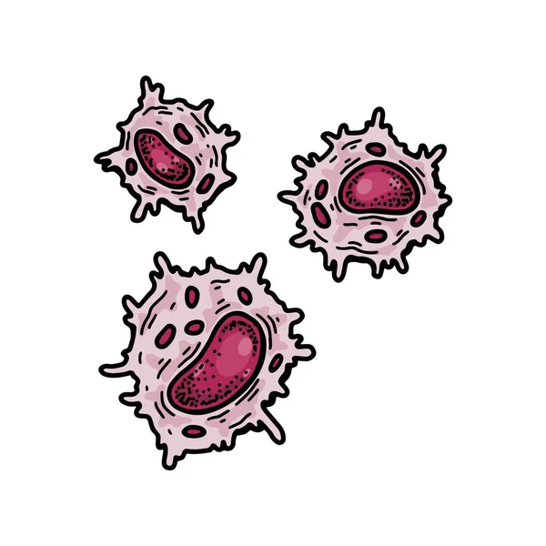 Natural Killer Cell Isolated White Background Hand Drawn Scientific Microbiology — Vetor de Stock