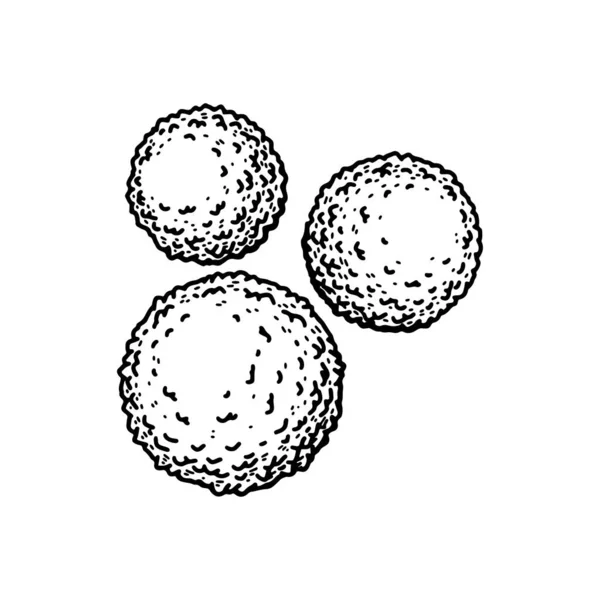 白血球白血球は白地に隔離されている 手描きの科学微生物学ベクトル図スケッチスタイル — ストックベクタ