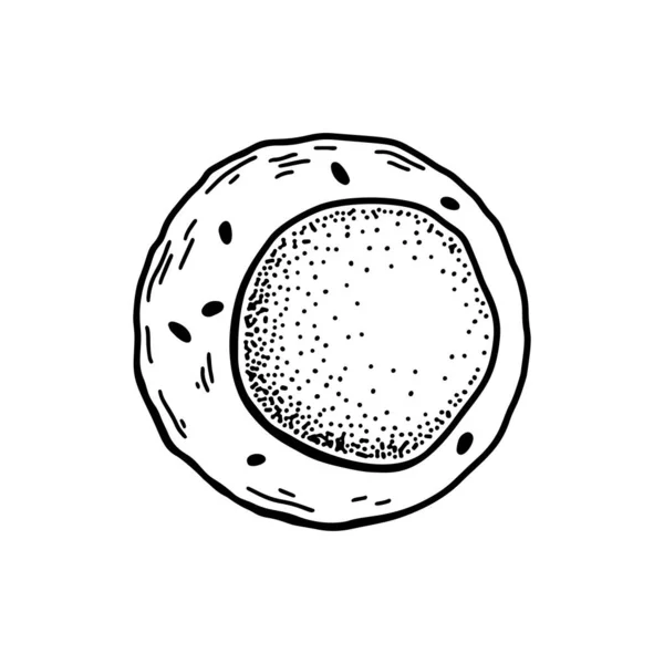 Myeloid Blodstamceller Isolerade Vit Bakgrund Handritad Vetenskaplig Mikrobiologi Vektor Illustration — Stock vektor