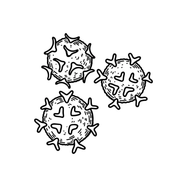 Lymphocytes White Blood Cells Isolated White Background Hand Drawn Scientific — Vetor de Stock