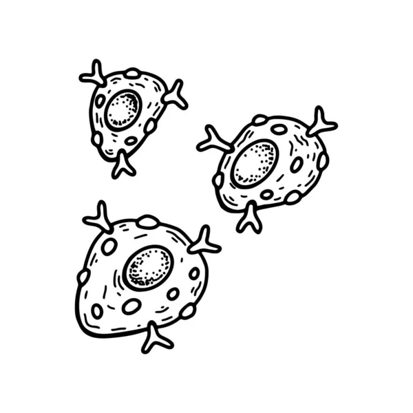 被白色背景隔离的巨细胞 手绘科学微生物学矢量图式草图 — 图库矢量图片
