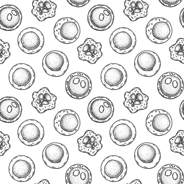幹細胞のシームレスなパターン 手描きのベクトルイラストをスケッチスタイルで 微生物学的背景 — ストックベクタ