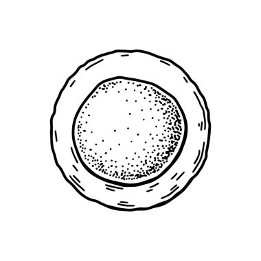 Blood stem cell isolated on white background. Hand drawn scientific microbiology vector illustration in sketch style