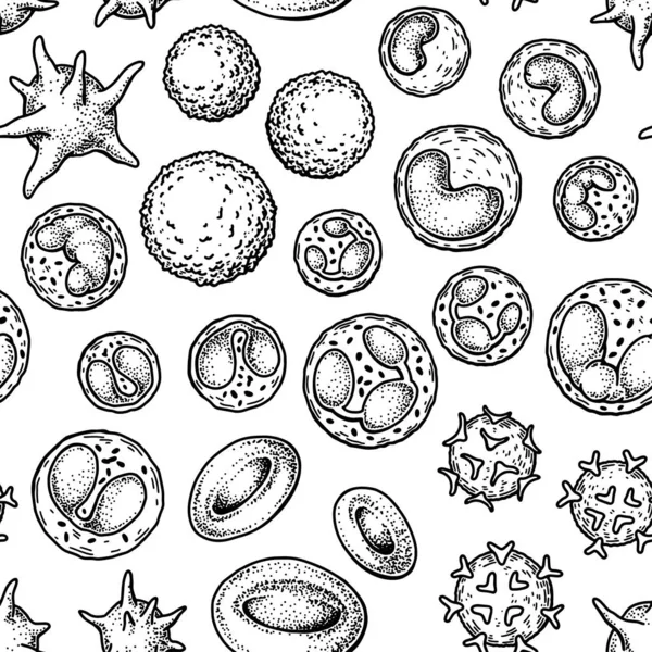 血液細胞のシームレスなパターン 手描きの赤血球 白血球や血小板 スケッチスタイルの科学生物学イラスト — ストックベクタ