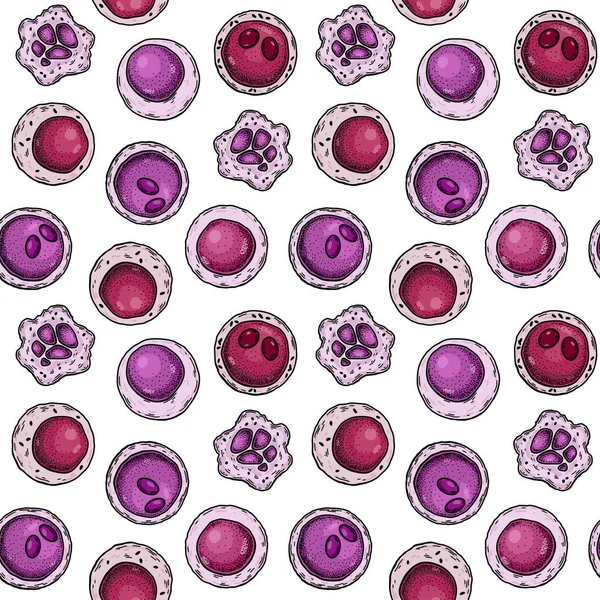 幹細胞のシームレスなパターン 手描きのベクトルイラストをスケッチスタイルで 微生物学的背景 — ストックベクタ