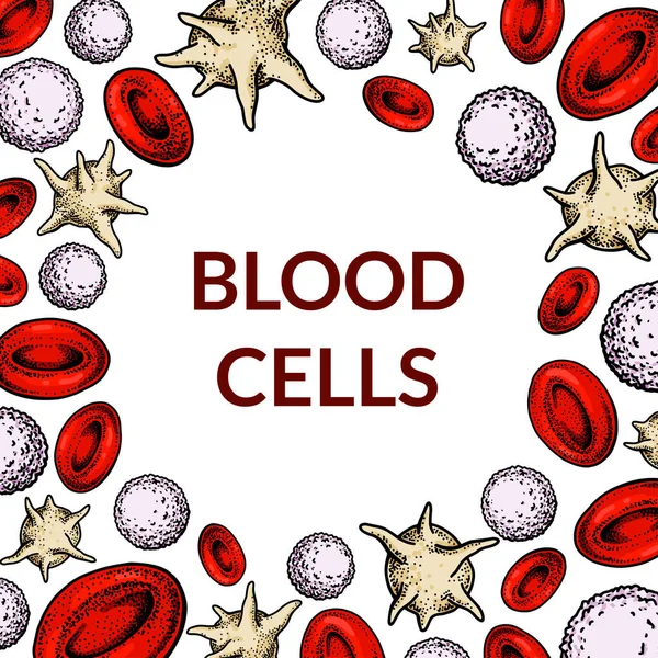 Sfondo Cellule Del Sangue Progettazione Esami Del Sangue Anemia Donazione — Vettoriale Stock