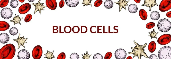 Bloedcellen Achtergrond Ontwerp Voor Bloedonderzoek Bloedarmoede Donatie Hemofilie Laboratorium Wetenschappelijke — Stockvector