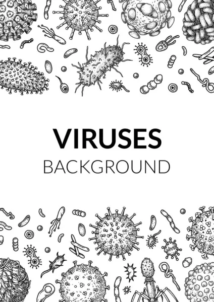Virus Vertikal Bakgrund Skiss Stil Handritade Bakterier Bakterier Mikroorganismer Mikrobiologisk — Stock vektor