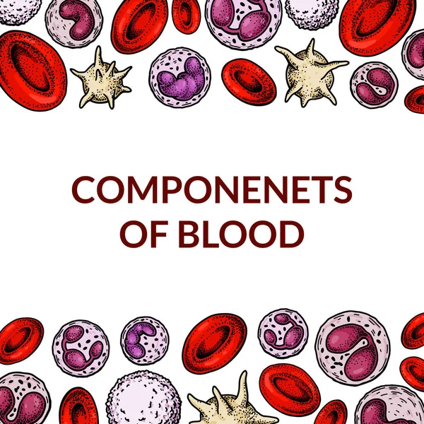 Fondo Células Sanguíneas Diseño Para Análisis Sangre Anemia Donación Hemofilia — Vector de stock