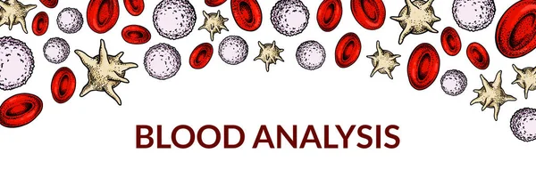 Células Sanguíneas Projeto Para Exame Sangue Anemia Doação Hemofilia Conceitos — Vetor de Stock