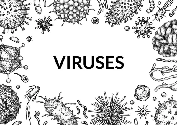 Virus Horizontal Background Sketch Style Hand Drawn Bacteria Germ Microorganism — Vetor de Stock