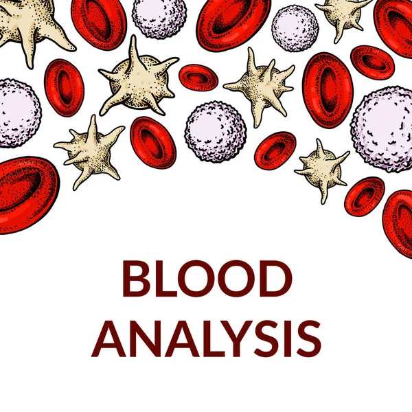 Células Sanguíneas Projeto Para Exame Sangue Anemia Doação Hemofilia Conceitos — Vetor de Stock