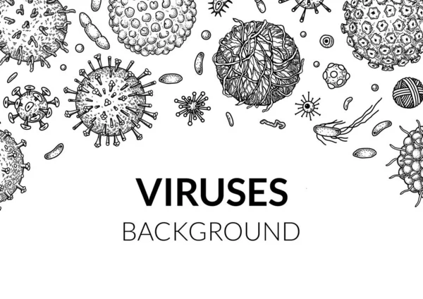Virus Horizontal Background Sketch Style Hand Drawn Bacteria Germ Microorganism — Vetor de Stock