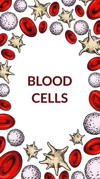 Bloedcellen Achtergrond Ontwerp Voor Bloedonderzoek Bloedarmoede Donatie Hemofilie Laboratorium Wetenschappelijke — Stockvector