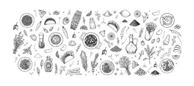 Büyük bir yiyecek, sebze ve sebze seti. El çizimi vektör illüstrasyonuName