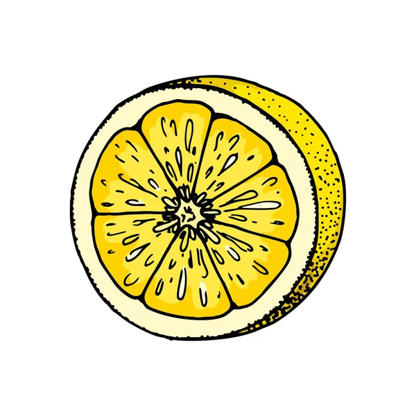 Potongan Lemon Ilustrasi Vektor Gambar Tangan Berwarna Dalam Gaya Sketsa - Stok Vektor