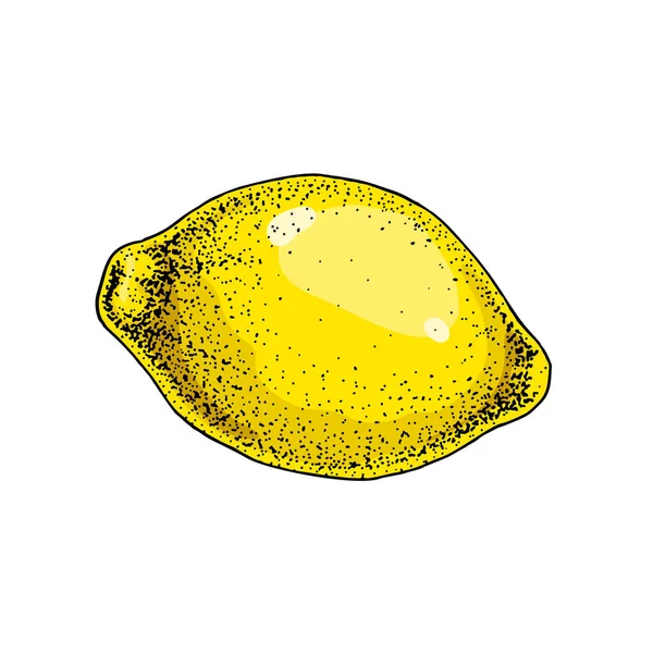 Fruta Limón Colorida Ilustración Vectorial Dibujada Mano Estilo Boceto Aislado — Vector de stock