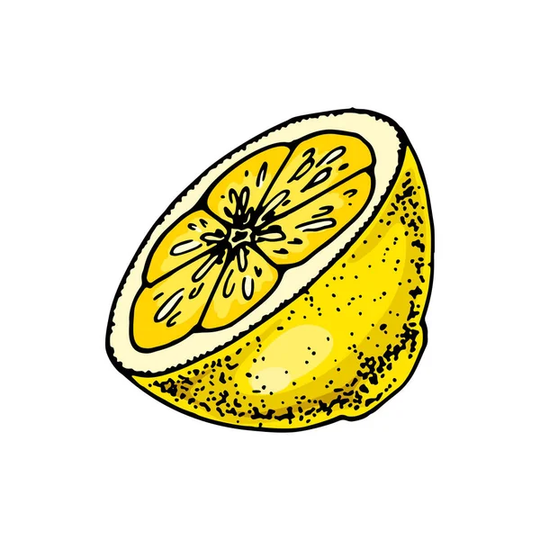 レモンスライス 白い背景に隔離されたスケッチスタイルでカラフルな手描きベクトルイラスト 柑橘系ジューシーな黄色の果実 — ストックベクタ