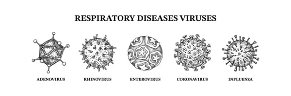 Luftvägssjukdomar Virus Handritade Mikroorganismer Vetenskaplig Vektor Illustration Skiss Stil — Stock vektor