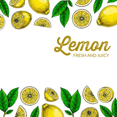 Kare limon arka planı. Çizim stilinde elle çizilmiş renkli vektör çizimi. Paketleme, logo, davet, tebrik kartları için tasarım