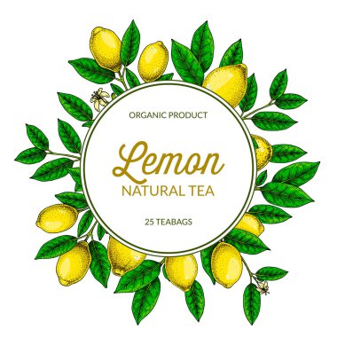 Limon çerçevesini çember yapın. Çizim stilinde elle çizilmiş renkli vektör çizimi. Paketleme, logo, davet, tebrik kartları için tasarım