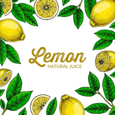 Kare limon arka planı. Çizim stilinde elle çizilmiş renkli vektör çizimi. Paketleme, logo, davet, tebrik kartları için tasarım
