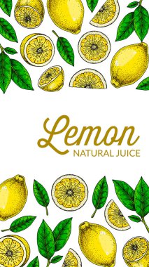 Dikey limon arka planı. Çizim stilinde elle çizilmiş renkli vektör çizimi. Paketleme, davet, tebrik kartları için tasarım